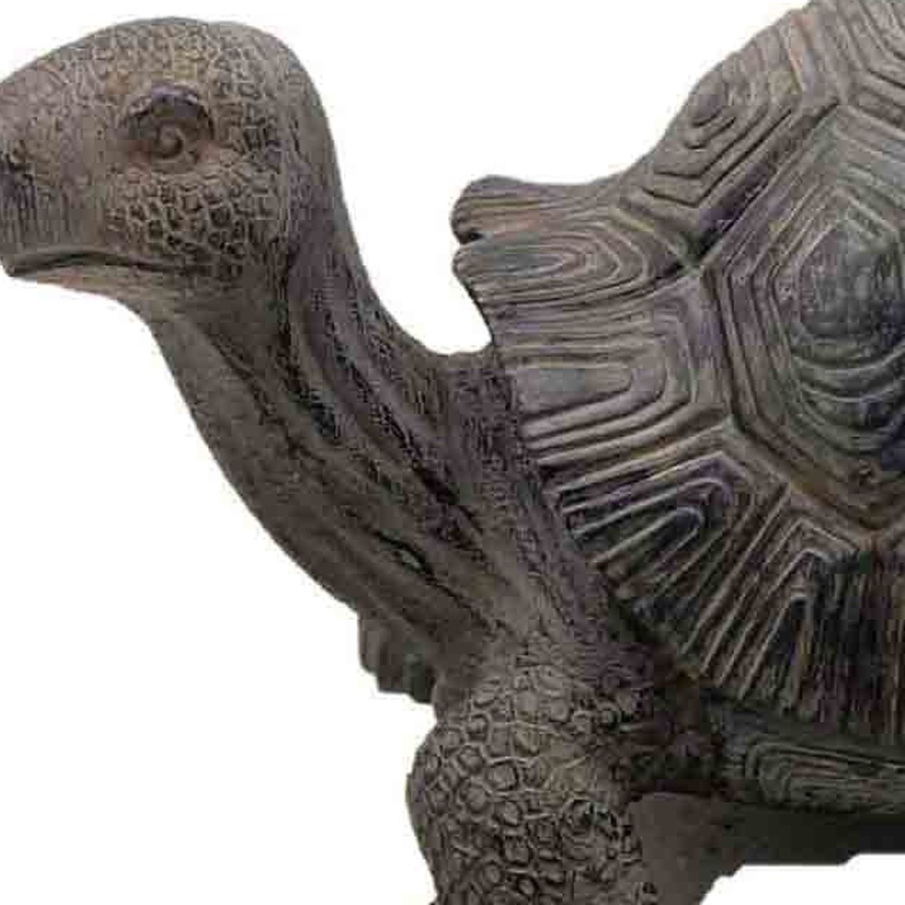 11" Dark Brown Tortoise Indoor Outdoor Statue - Image 5