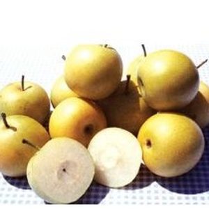 Twentieth Century Asian Pear