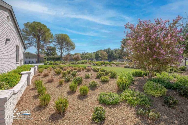 Custom pool by Edgewater Custom Pools – 3550 E. Pama Ln 5 11Zon