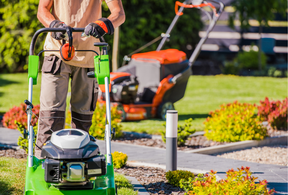 Custom Landscaping Services in Boulder City, NV