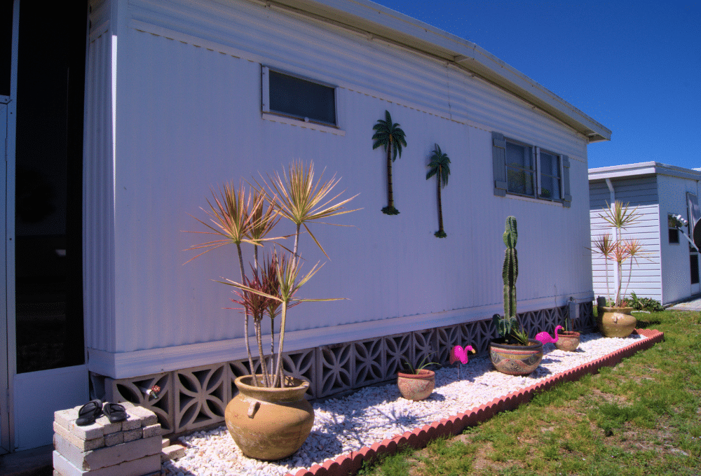 Desert-Friendly Backyard Landscaping in Spring Valley, NV