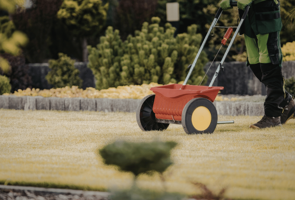 Yard Maintenance and Clean Up North Las Vegas NV